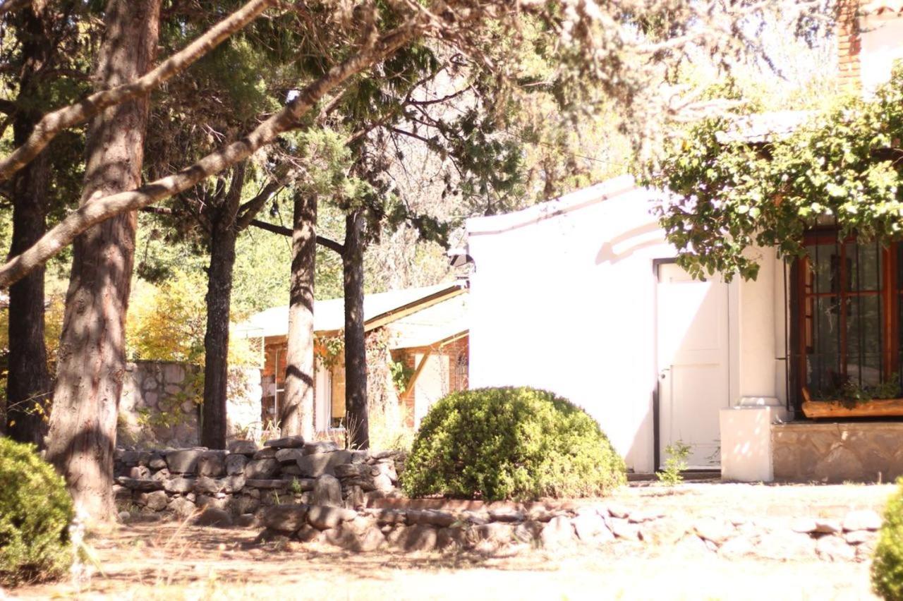 Y Mimbres Apartahotel