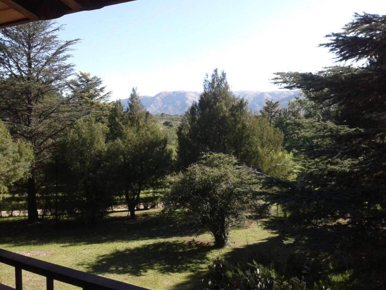 Apartahotel Y Mimbres San Esteban
