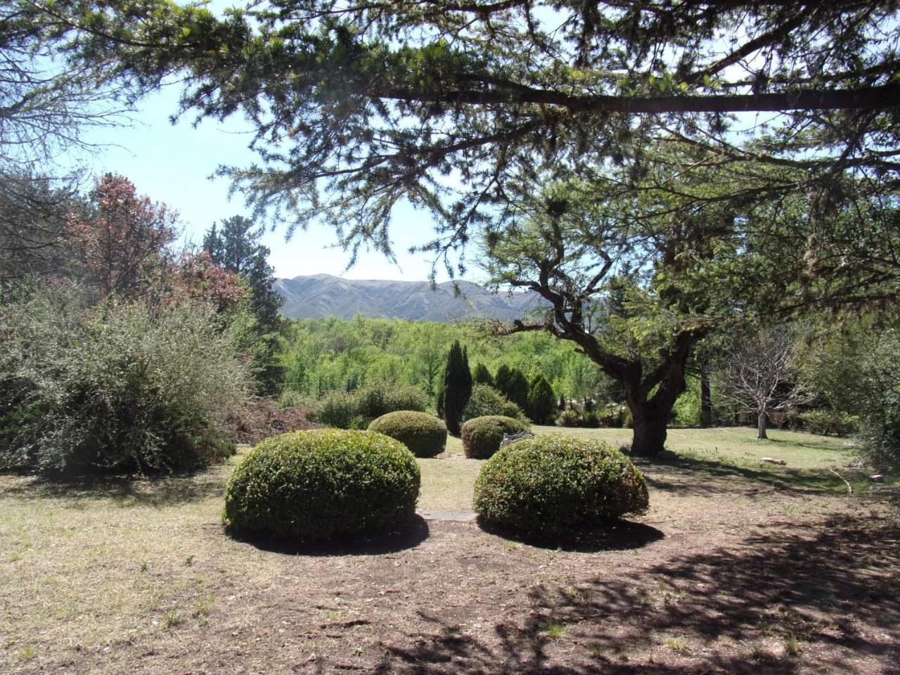 Y Mimbres San Esteban