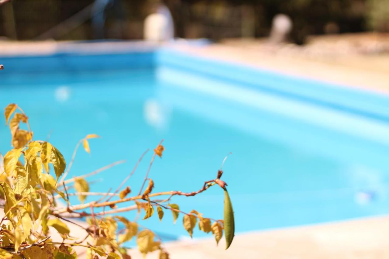 Apartahotel Y Mimbres