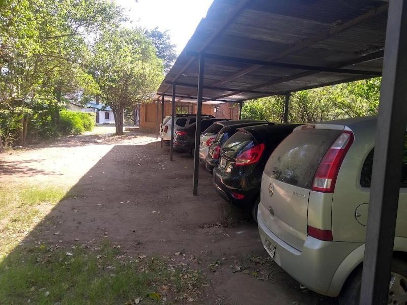 Y Mimbres *