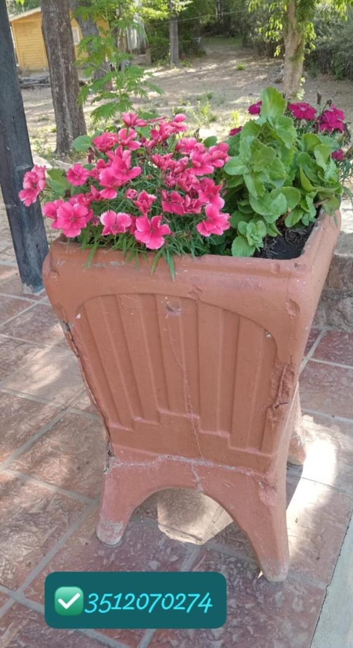 Y Mimbres San Esteban