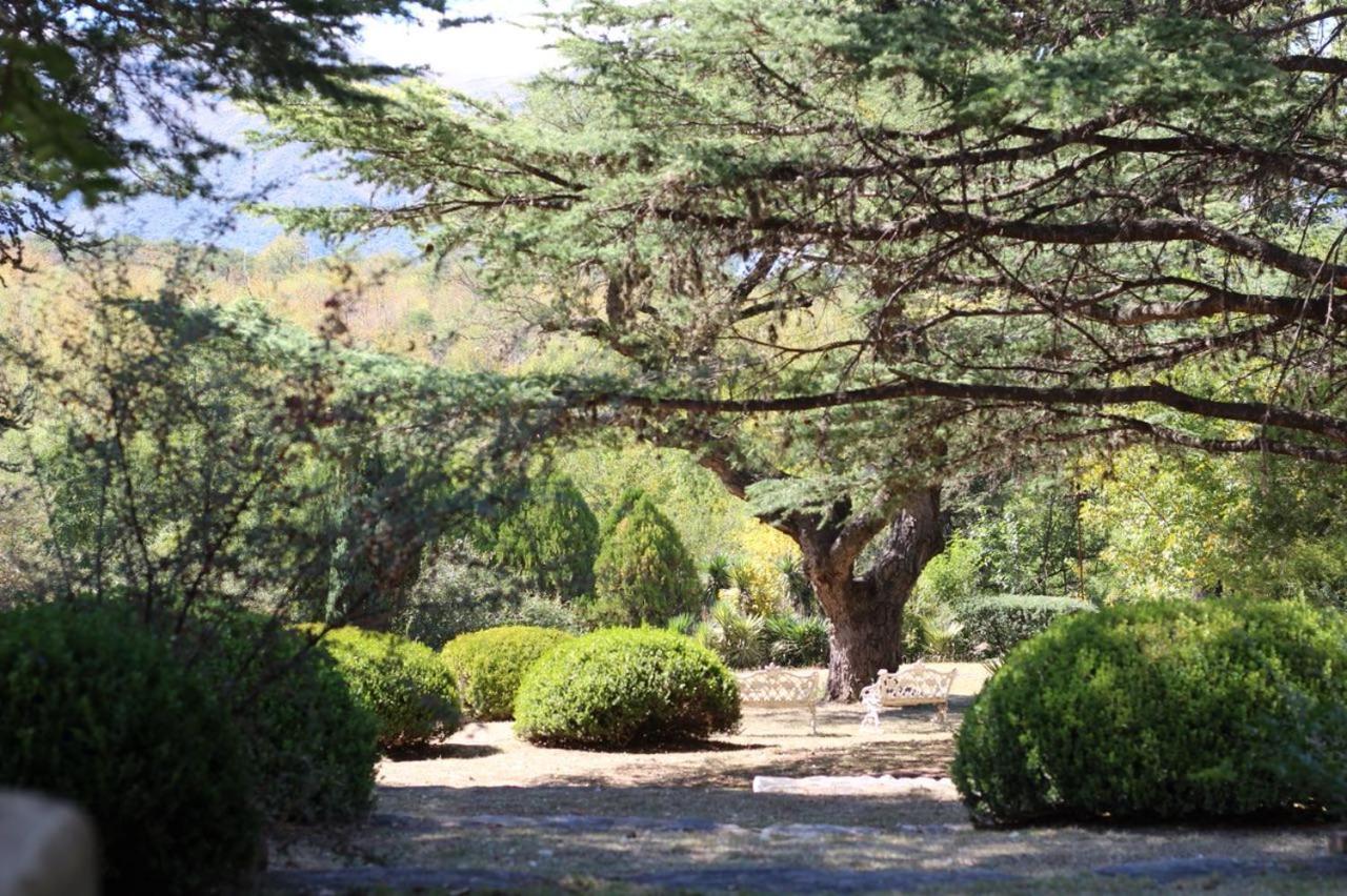 Y Mimbres Apart-hotel *
